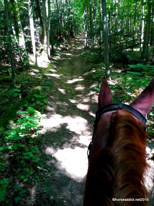 1-IMG_20160829_1459029