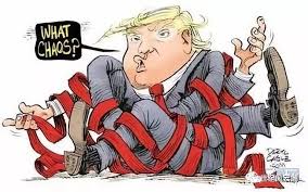 Bildergebnis für cartoon trump free