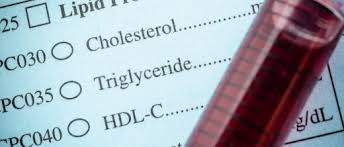 Bildergebnis für Triglyceridwerte