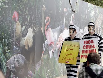 PAPYRUS: PETA protest at Dubai Zoo ends with whimper