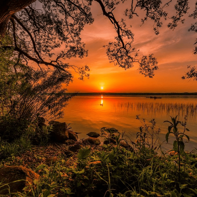 Gedicht am Sonntag: Friede auf Erden und Güte zur Menschheit.